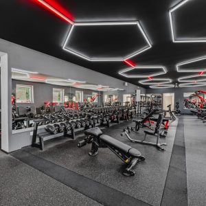 HammerGym